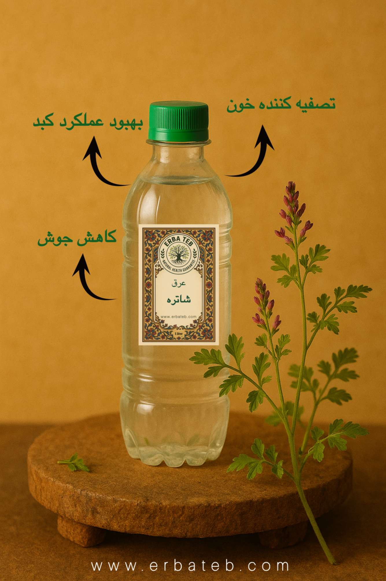 خواص عرق شاتره