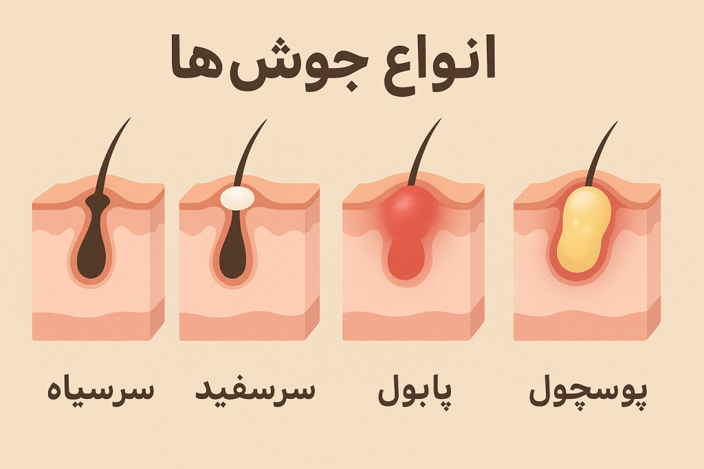 خاصیت روغن آرگان برای صورت