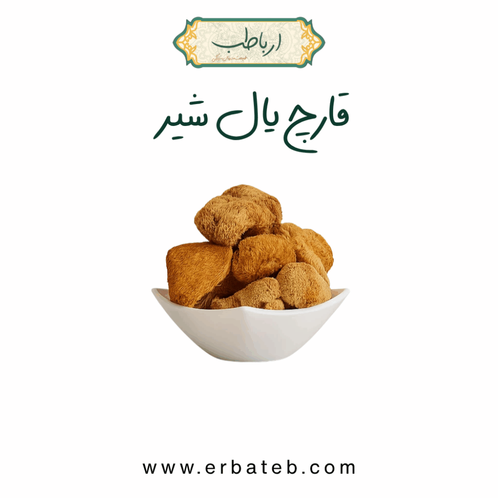قارچ یال شیر ارباطب